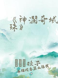 《神澜奇域无双珠》