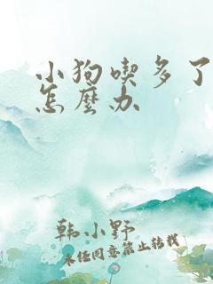 小狗吃多了呕吐怎么办