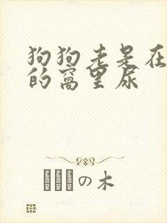 狗狗老是在睡觉的窝里尿