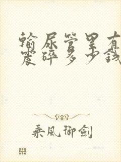 输尿管里有结石震碎多少钱