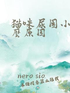 猫咪尿团小是什么原因