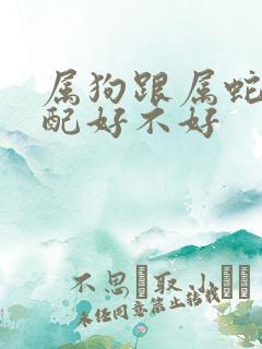 属狗跟属蛇的婚配好不好