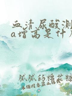 血清尿酸测定ua增高是什么意思