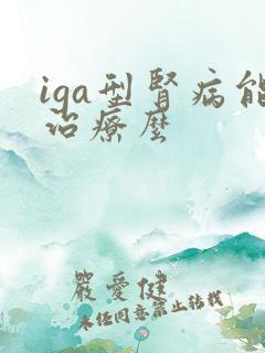 iga型肾病能治疗么