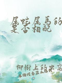 属蛇属马的婚姻是否相配