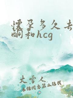 怀孕多久去查孕酮和hcg