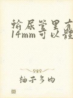 输尿管里有结石14mm可以体外碎石吗