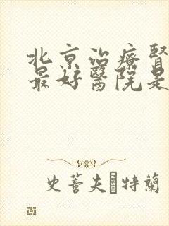 北京治疗肾病的最好医院是哪一个医院