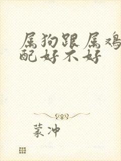 属狗跟属鸡的婚配好不好