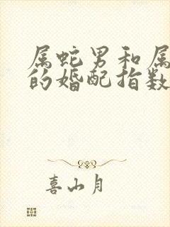 属蛇男和属马女的婚配指数