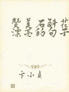 赞美石斛花开的漂亮的句子