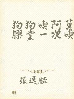 狗狗吃阿莫西林胶囊一次吃多少