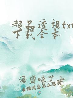 超品透视txt下载全本