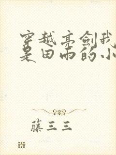 穿越亮剑我老婆是田雨的小说