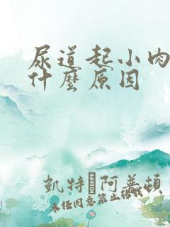 尿道起小肉粒是什么原因