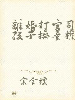 离婚打官司争夺孩子抚养权