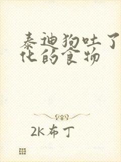 泰迪狗吐了没消化的食物