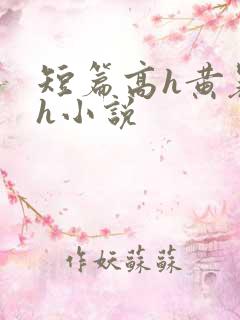 短篇高h黄暴辣h小说