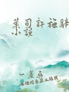 叶司许施辞全文小说