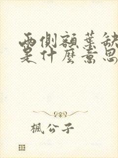 两侧额叶缺血灶是什么意思