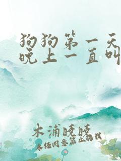 狗狗第一天到家晚上一直叫怎么办