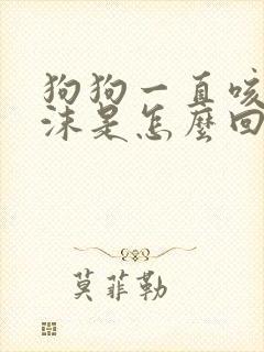 狗狗一直咳吐白沫是怎么回事