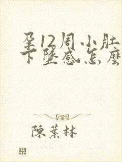 孕12周小肚子下坠感怎么回事