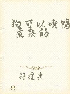 狗可以吃鸭肝吗 煮熟的