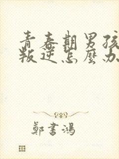 青春期男孩严重叛逆怎么办