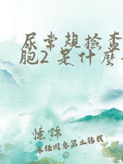 尿常规检查白细胞2 是什么意思