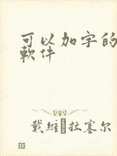 可以加字的p图软件