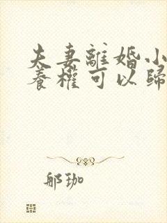 夫妻离婚小孩抚养权可以归双方吗