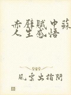 赤壁赋中苏轼的人生感悟