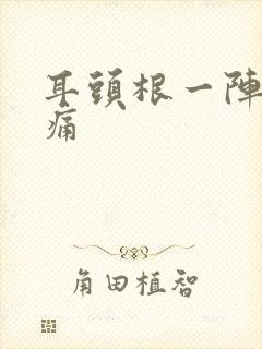 耳头根一阵一阵痛