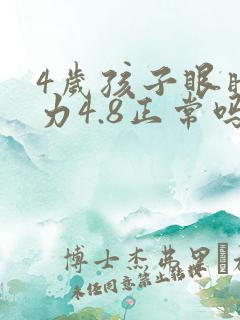 4岁孩子眼睛视力4.8正常吗