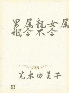 男属龙女属兔婚姻合不合