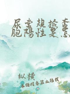 尿常规检查白细胞阳性是怎么回事