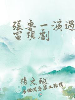 张鲁一演过什么电视剧