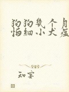 狗狗几个月就不怕细小犬瘟
