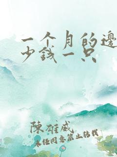 一个月的边牧多少钱一只