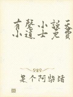 有声小说天师府小道士免费听