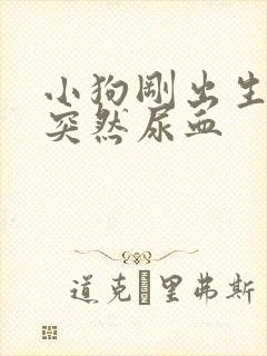 小狗刚出生3天突然尿血