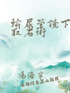 输尿管镜下碎石取石术