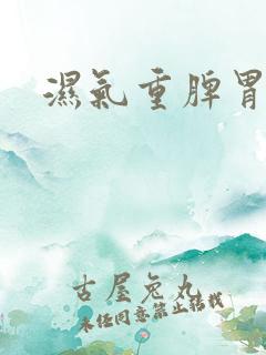 湿气重脾胃不调