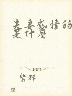 夫妻感情的基础是什么