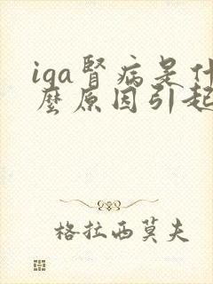 iga肾病是什么原因引起的