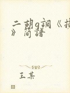 二胡g调《搀扶》简谱