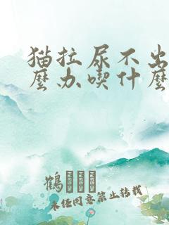 猫拉尿不出来怎么办吃什么药好