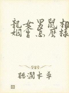 龙女男鼠相配婚姻会怎么样