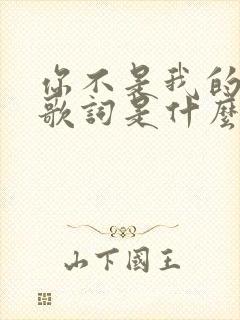 你不是我的唯一歌词是什么歌